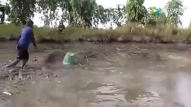 Китайский бизнес. Разведение рыбы (южный Китай) подлинное