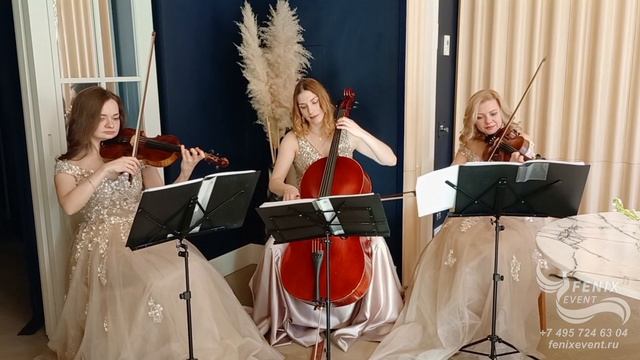 Заказать струнный коллектив на встречу гостей - живая музыка на свадьбу, праздник и юбилей Москва