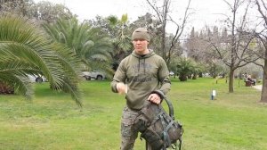 Как защититься от бродячих собак.  Опасности стаи диких собак.