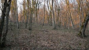 Переезд в Краснодарский край. Купил землю.