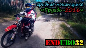 Грибная покатушка. Белый груздь 2016 | Ride on motorcycles for mushrooms. White gruzd