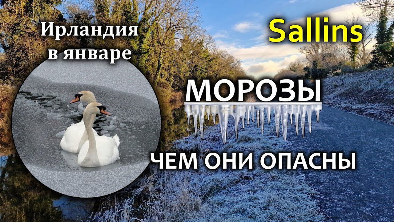 ИрландияМорозы/На работу не едем/Sallins - НОВОСТИ/Гранд-канал/Весенний фестиваль