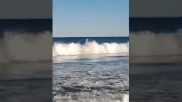 surf or die by Magisto смотреть онлайн