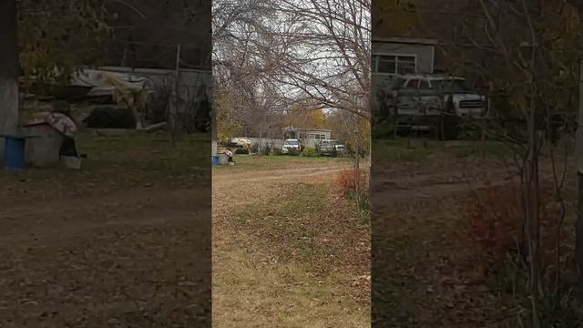 все своими руками,за 10лет камыш беседка несгнил,каждую чистил от шалухи и лаком смотреть онлайн