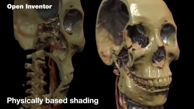 Open Inventor Toolkit | Physically Based Shading | 3D Visualization Toolkit смотреть онлайн