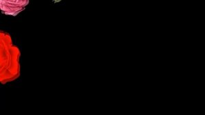 Футаж для видео монтажа цветы розы | Бесплатные футажи для монтажа