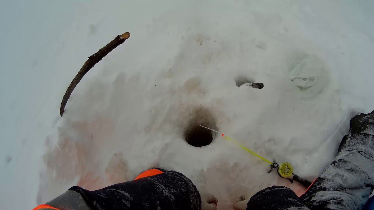 ЗИМНЯЯ РЫБАЛКА|ВОТ ЭТО КЛЁВ!ЖОР ПЛОТВЫ В МЕТЕЛЬ! (16.03.2018) смотреть онлайн