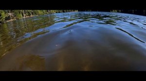 Third Trout - MONSTER Brook Trout caught from the kayak!