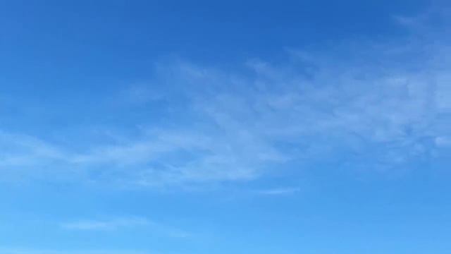 Славянск. 9 октября 2022г. Утро. смотреть онлайн