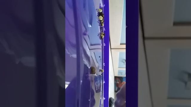 Новая кладка ууфффхх смотреть онлайн