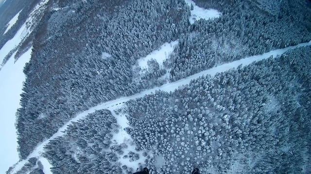 Парашютист приземляется на ограниченную площадку в лесу