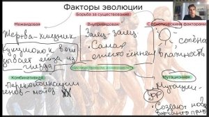 Факторы эволюции | Биология ЕГЭ