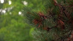 Глубокий сон/Музыка/Звуки природы/Исцеление/Восстановление нервной системы/