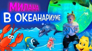 Милана в океанариуме