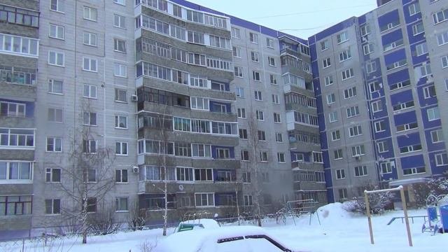 Утренняя прогулка за подушками
