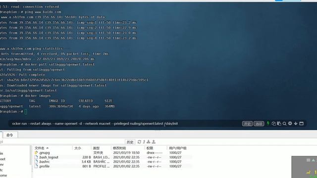 08-在树莓派3B/4B的docker中运行 OpenWrt 旁路由（有字幕） смотреть онлайн
