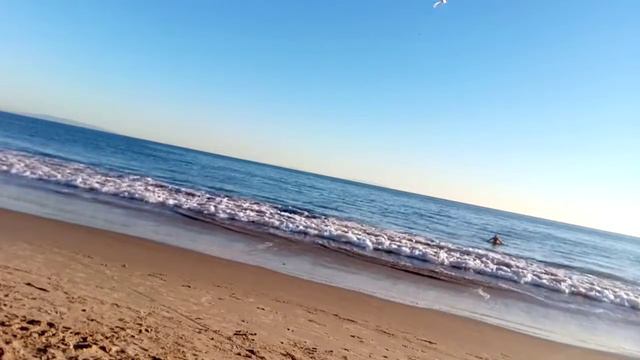 первый раз в жизни купаюсь в в феврале в Калифорнии в тихом океане. смотреть онлайн