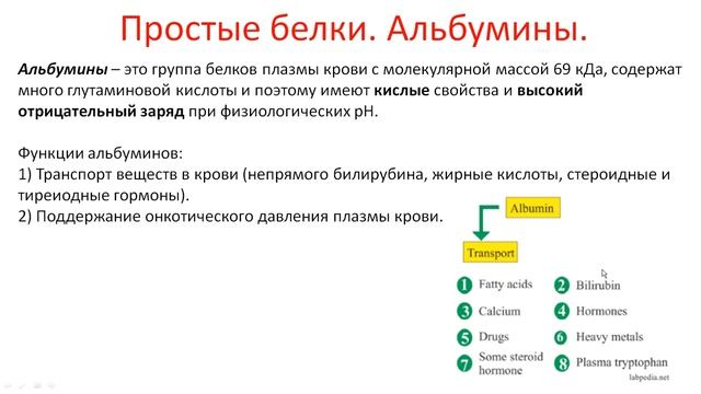 Биохимия. Лекция 4. Белки. Классификация белков.