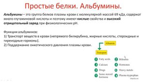 Биохимия. Лекция 4. Белки. Классификация белков.