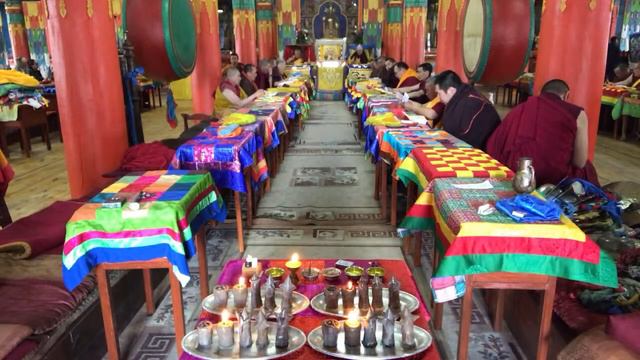 Доншод гороо смотреть онлайн