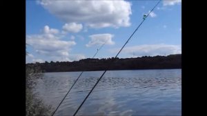 ОТДЫХ И РЫБАЛКА НА ОКЕ В село Кременье городской округ Ступино, Московская область, Россия