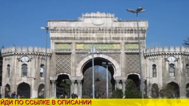 авиабилеты до санкт-петербурга из новосибирска