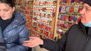 ЛУЧШИЙ выбор: краска садовая, клей от муравьев и препарат от вредителей, советы от Ксении