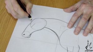 КАК НАРИСОВАТЬ ЛОШАДЬ | ОХК «СТУДИЯ ИЗОБРАЗИТЕЛЬНОГО ИСКУССТВА «АЛЬТАИР» | Руководитель Черняев О.А.