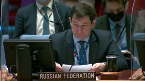 Statement by First DPR Dmitry Polyanskiy at UNSC briefing on the situation in Libya