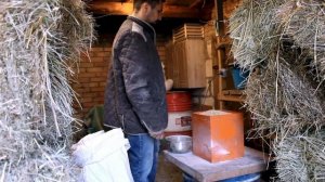 Измельчение зерна, делаю зерносмесь для коров