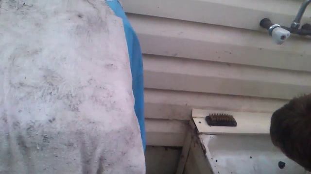 Идиот и перец.Молоко спасает мир! смотреть онлайн