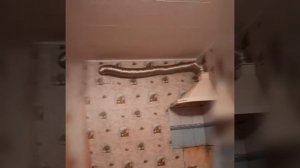 Пьянки гулянки 2021г.