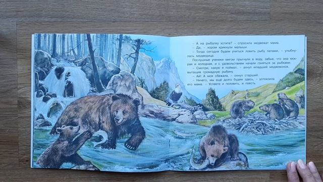 Приключения медвежонка. Читаем детям. Серия Познаем мир вокруг нас. смотреть онлайн