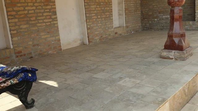 ВЕЛИКДАГИ БЛОГЕР/НАВОЙИ/АМИР ОЛИМХОНИНГ ОТАСИНИ КАБРИ ТОПИЛДИ/2-КИСМ