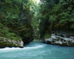 ОТДЫХ НА РЕКЕ КУРДЖИПС. АДЫГЕЯ