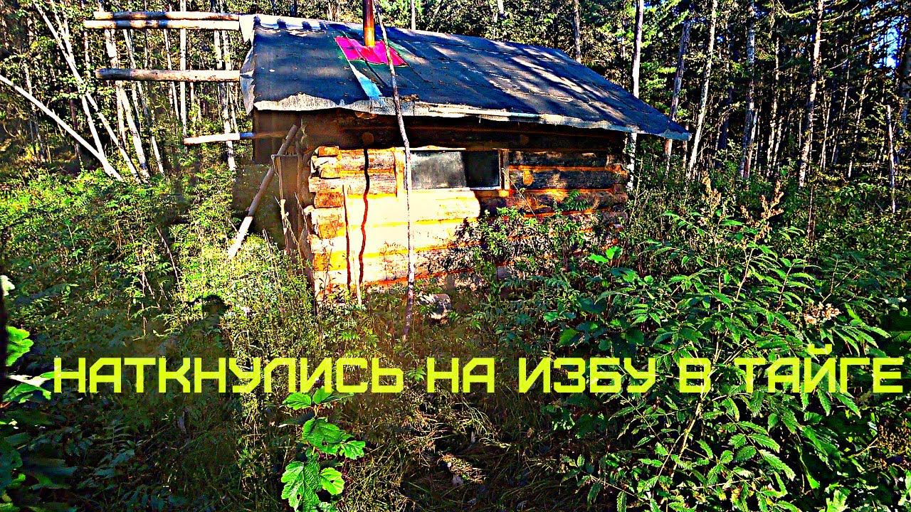 ДАЛЬНЕВОСТОЧНАЯ ТАЙГА, В ПЕРИОД ГОНА ИЗЮБРЯ. Нашли в тайге избу, которую нашел до нас медведь. смотреть онлайн