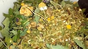 Натуральный чайный сбор от всех болезней