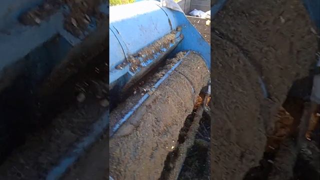 гарбузовий комбайн своїми руками, данка полька врожай 2022 смотреть онлайн