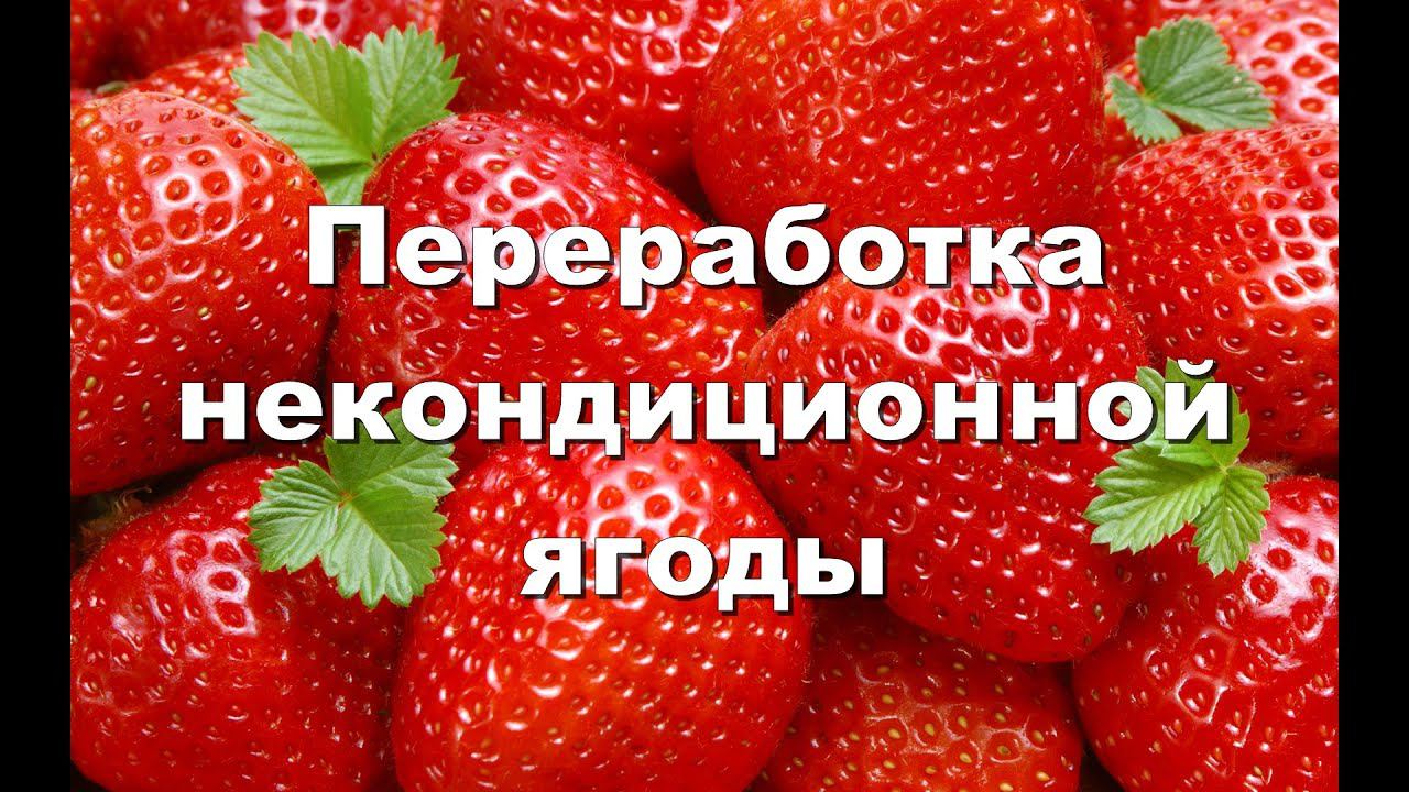 Переработка некондиционной ягоды клубники