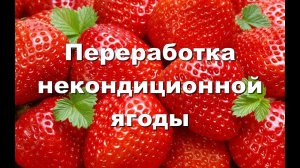 Переработка некондиционной ягоды клубники