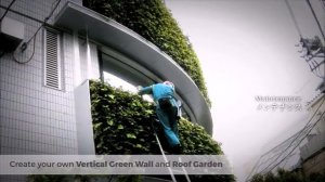 【Midorie Malaysia TV】Preview of Midorie Pafcal & Green Wall System