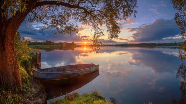 Вечерняя серенада Andre Rieu смотреть онлайн