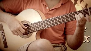 В мире животных на гитаре.