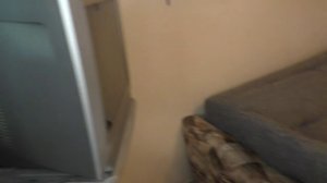 Малосемейка 18м2, свежий ремонт, мебель и техника. 1 350 000 рублей