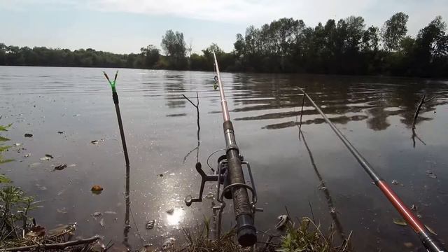 Рыбалка на карася летом! смотреть онлайн