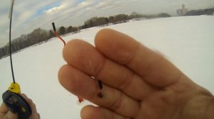 Зимняя рыбалка. Строгино.