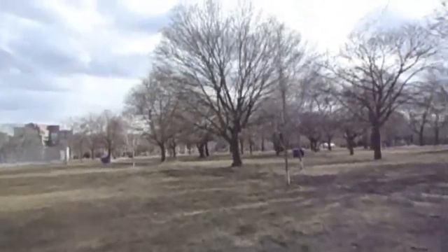 Ecologic Sonnet смотреть онлайн