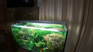 Установил ТОП светильник в свой аквариум. Травник на 200 литров