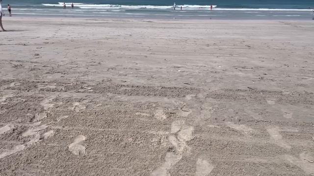 Дубайская сказка: Наш незабываемый отдых в Golden Sands Hotel смотреть онлайн