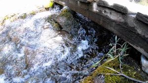 Еланда Водопад, ручей Че Чкыш 17.10.2020